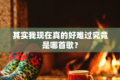 其实我现在真的好难过究竟是哪首歌？