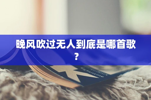 晚风吹过无人到底是哪首歌？