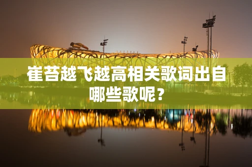 崔苔越飞越高相关歌词出自哪些歌呢？