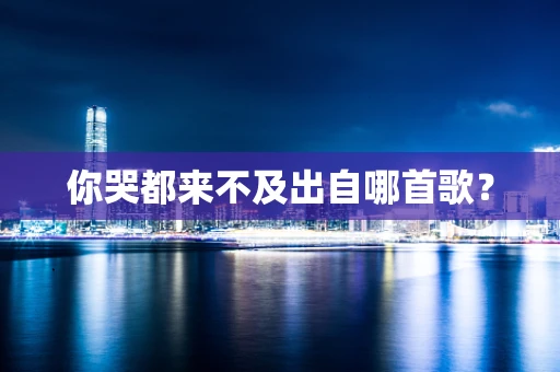 你哭都来不及出自哪首歌？