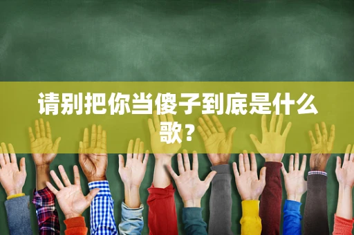 请别把你当傻子到底是什么歌？