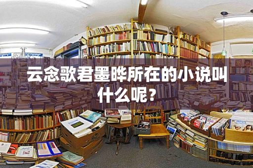 云念歌君墨晔所在的小说叫什么呢？
