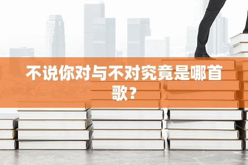 不说你对与不对究竟是哪首歌？