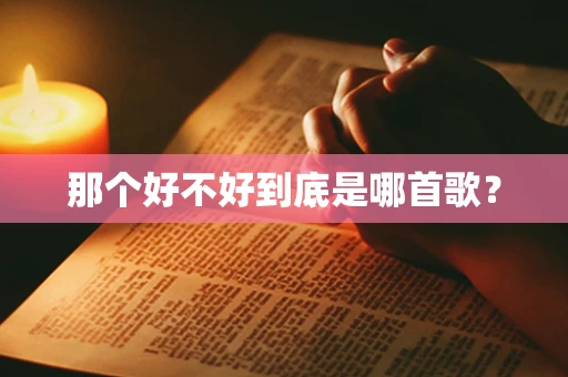 那个好不好到底是哪首歌？