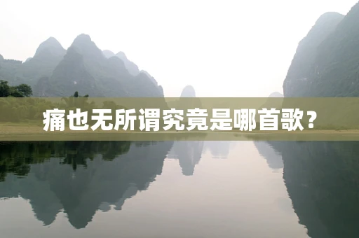 痛也无所谓究竟是哪首歌？