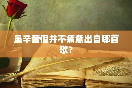 虽辛苦但并不疲惫出自哪首歌？