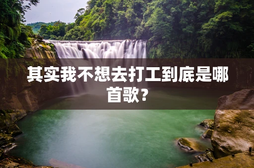 其实我不想去打工到底是哪首歌？