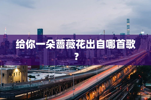 给你一朵蔷薇花出自哪首歌？
