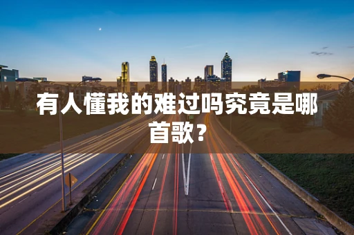 有人懂我的难过吗究竟是哪首歌？