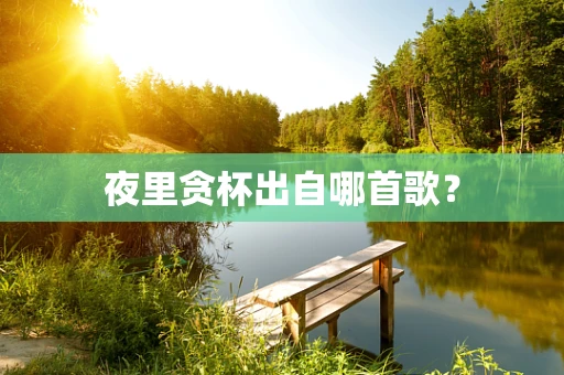 夜里贪杯出自哪首歌？