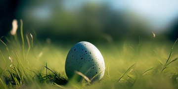 看看刚下的蛋是哪首歌?