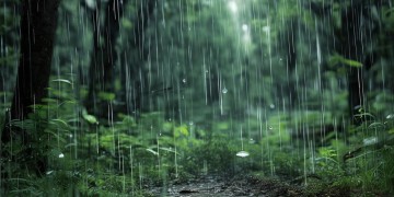 雨哗哗啦啦落下究竟是哪首歌？