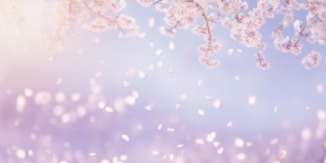 莫人莫人究竟是哪首歌？