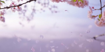 右边心痛到底是哪首歌？