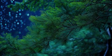 还在熬夜嘛是哪首歌？