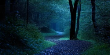 夜晚的安静和沉思究竟是哪首歌？