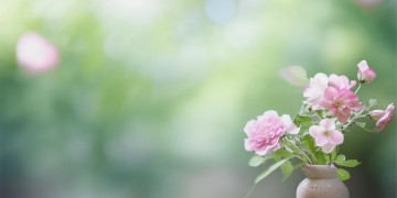 我已经把你拉进群是哪首歌？