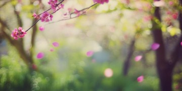 错过了花开的时节究竟是哪首歌？