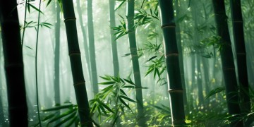 侗族大歌究竟能给人带来怎样的感觉？