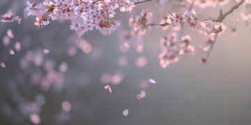 曾经你比谁都善良究竟是哪首歌？