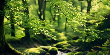 林俊逸有哪些歌曲可以播放？