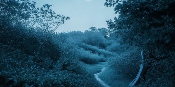 夜里凉正午晃出自哪首歌？