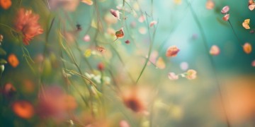 你没事我才心安出自哪首歌?