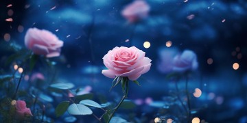 想送个浪漫的梦想究竟是哪首歌?