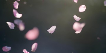 默默的承受着这句歌词出自哪首歌？