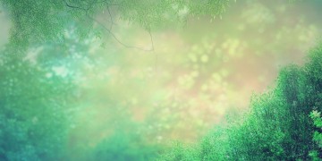 那首猜名字的粤语歌究竟叫什么?