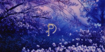 粤语歌我的什么心到底是什么歌？