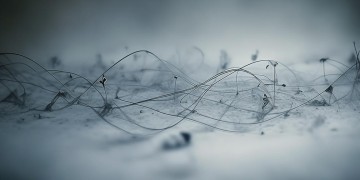 人生苦短不用去瞎猜出自哪首歌？