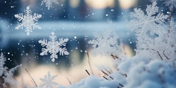 那雪花是哪首歌的歌词呢？
