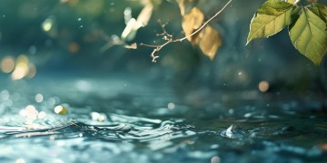 爱嘟嘟铁马到底是什么歌？