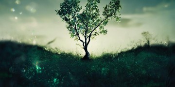 灵魂歌手改编歌词究竟是哪首歌？