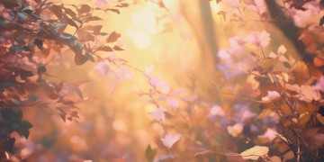 我们把你写进诗里究竟是哪首歌？