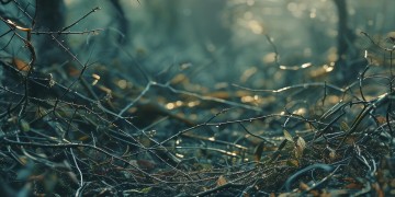 被你伤的体无完肤出自哪首歌？