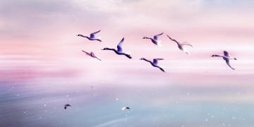 浮浮停停人生这句歌词的闽南歌究竟叫什么？