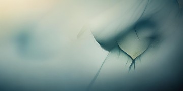 没心动过的人究竟是哪首歌？