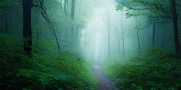迷路迷路迷了路究竟是什么歌？