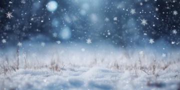 飘的雪歌词出自哪首歌？