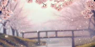 有缘却无分这句歌词出自哪首歌？