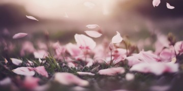 不信遗忘不信成长出自哪首歌？