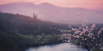 相思为疾前奏究竟是哪首歌？