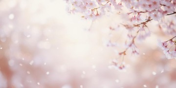 他都不难受他只要自由出自哪首歌？