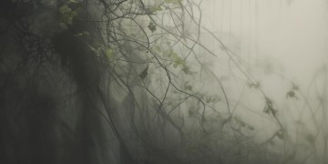 发现的反义词出现在哪首歌里?