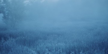 寻找黎明是哪首歌？
