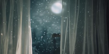 寂寞夜里看你照片究竟是哪首歌？