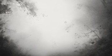 灰色什么你到底是哪首歌？