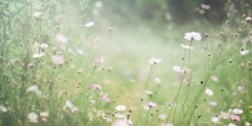 爱与不爱都是意外出自哪首歌?